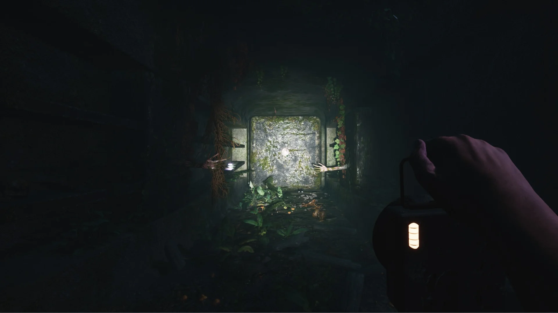 Thumbnail 11