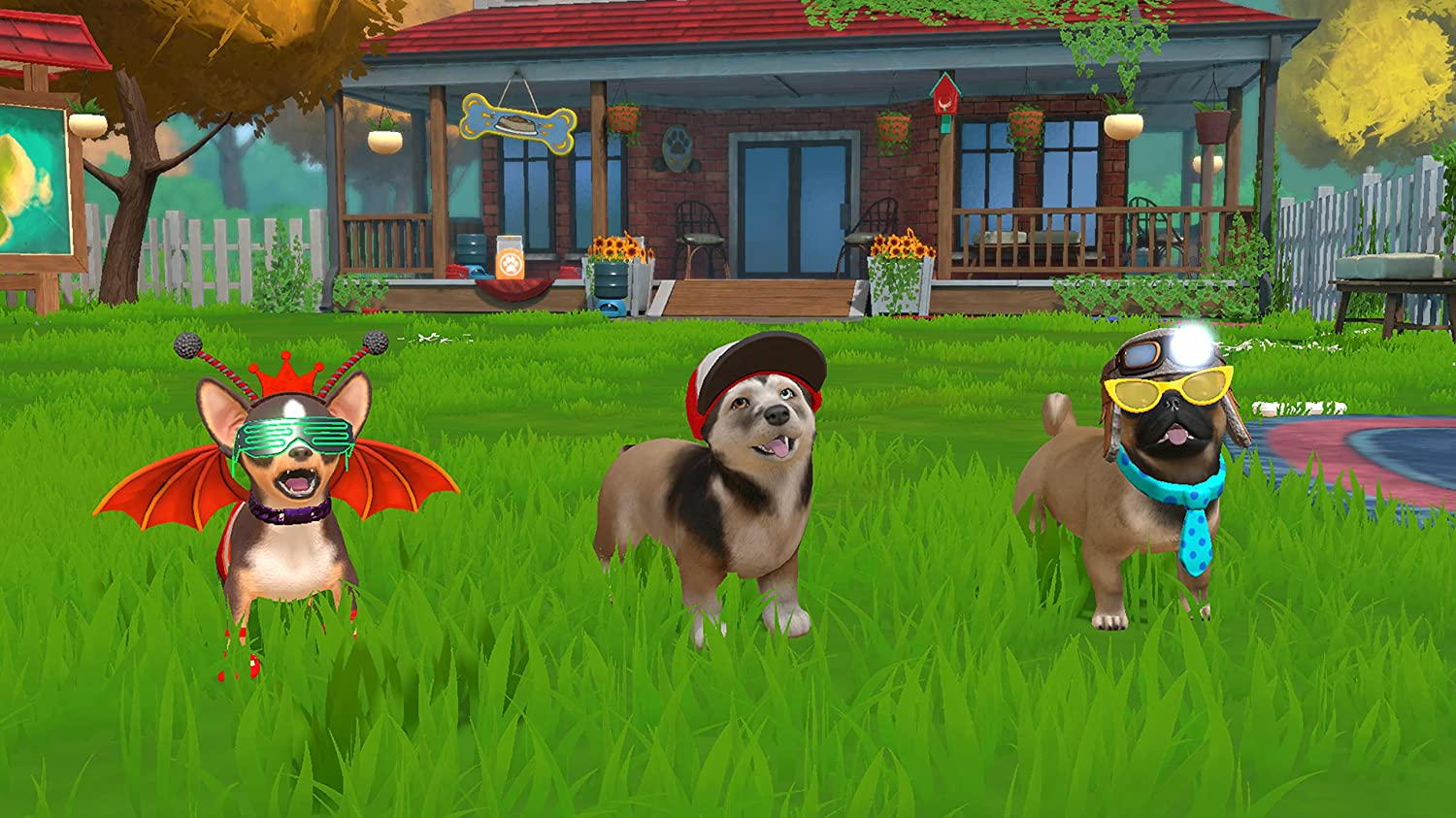 Thumbnail 4