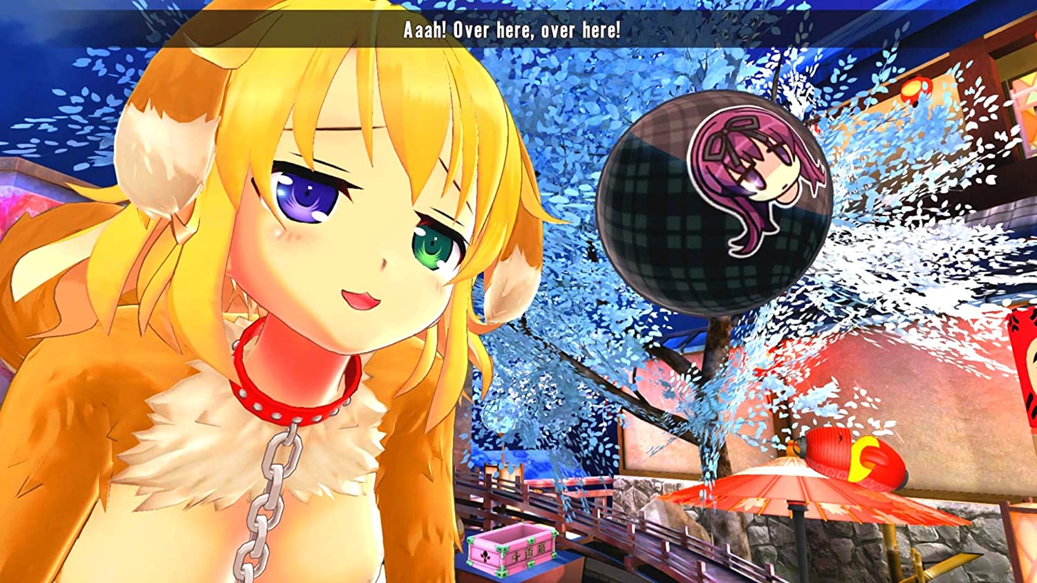 Thumbnail 13