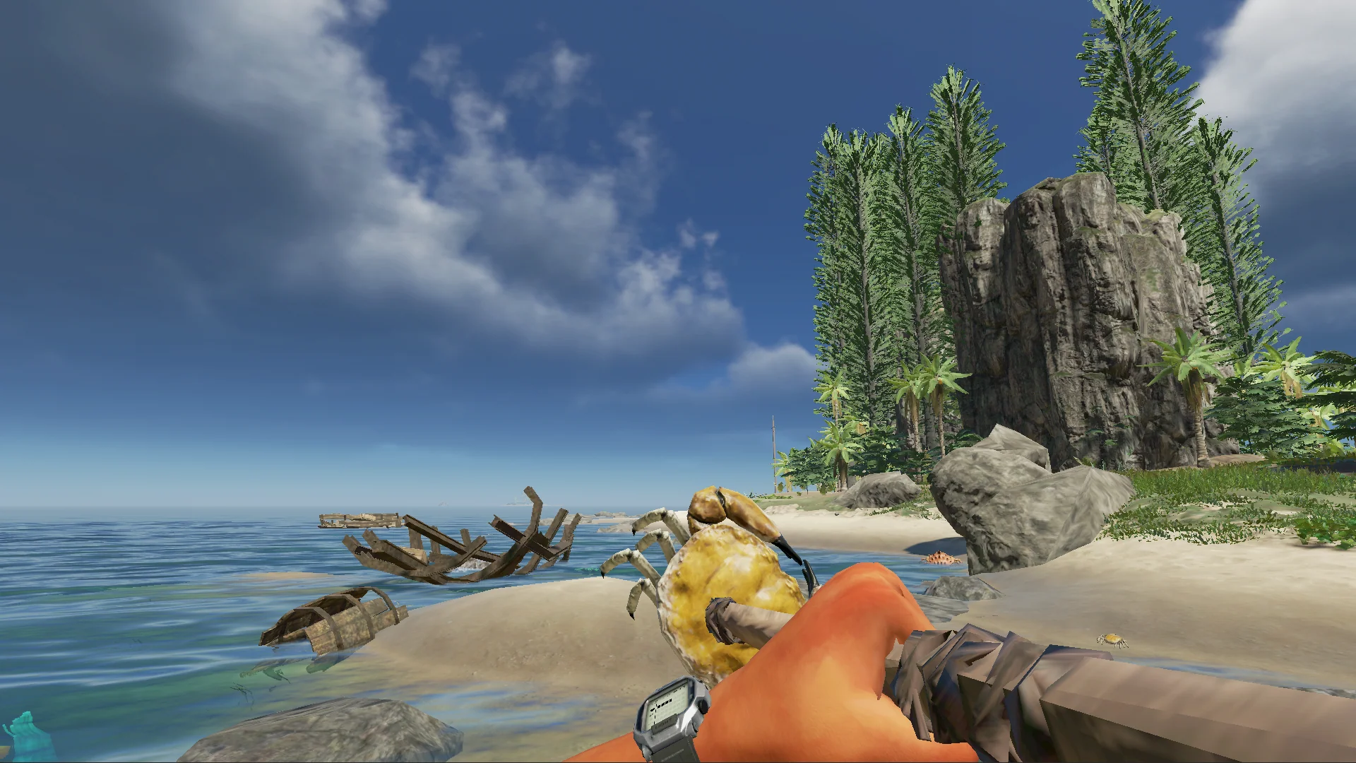 Thumbnail 8