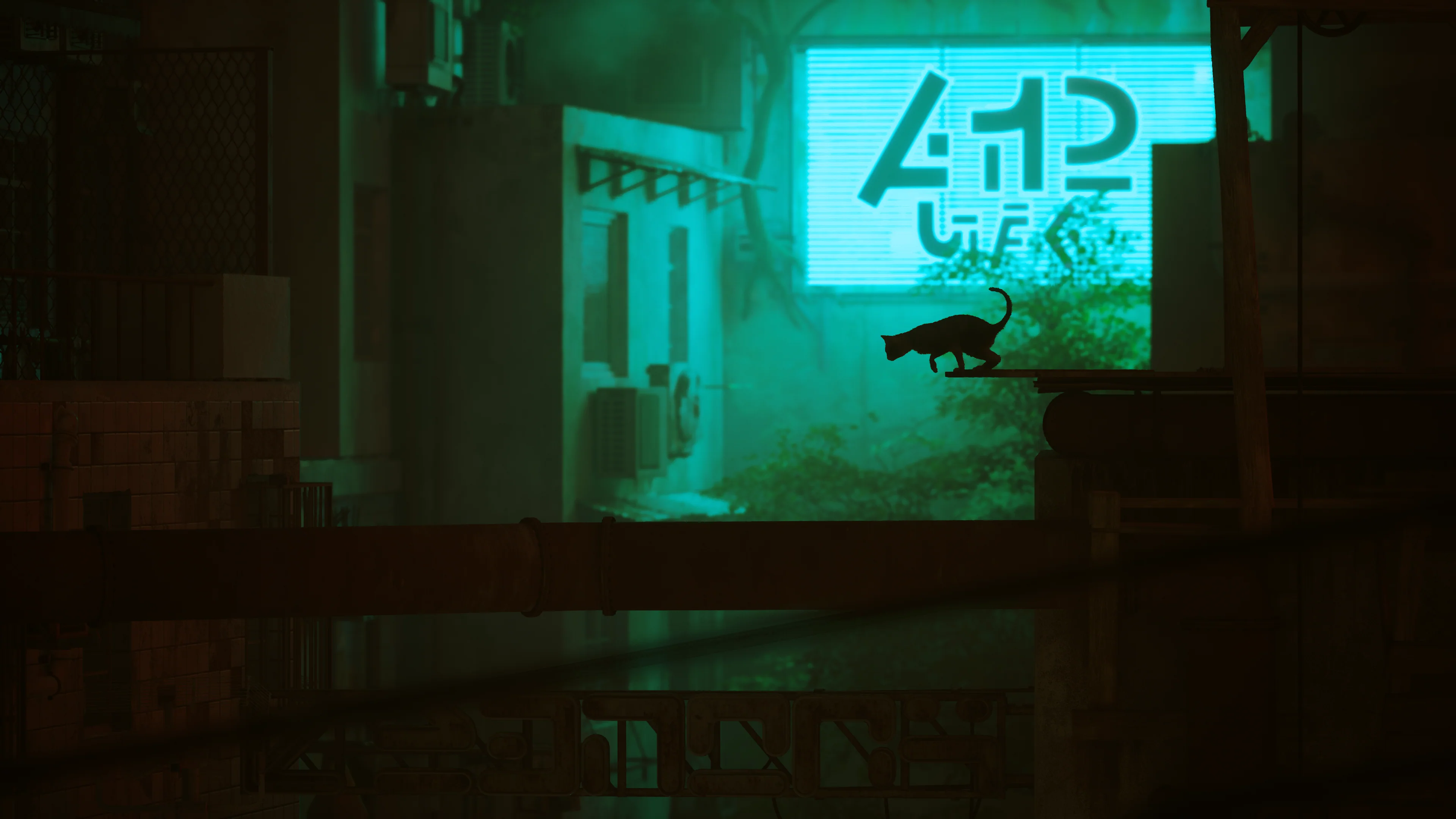 Thumbnail 18